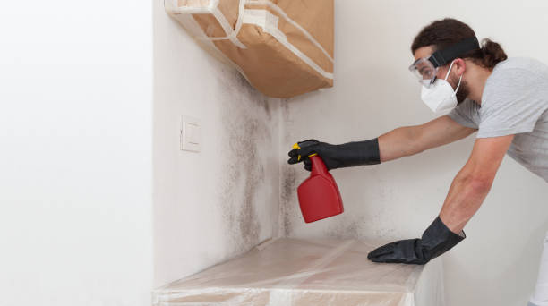 Professional Attic Mold Remediation technician working in Highlands, NJ