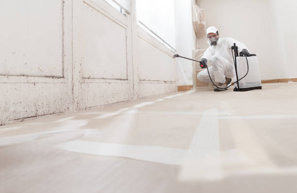 24/7 Emergency Attic Mold Remediation experts in Highlands, NJ