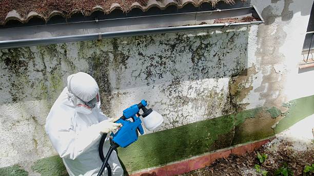 Top rated local Attic Mold Remediation specialists in Highlands, NJ